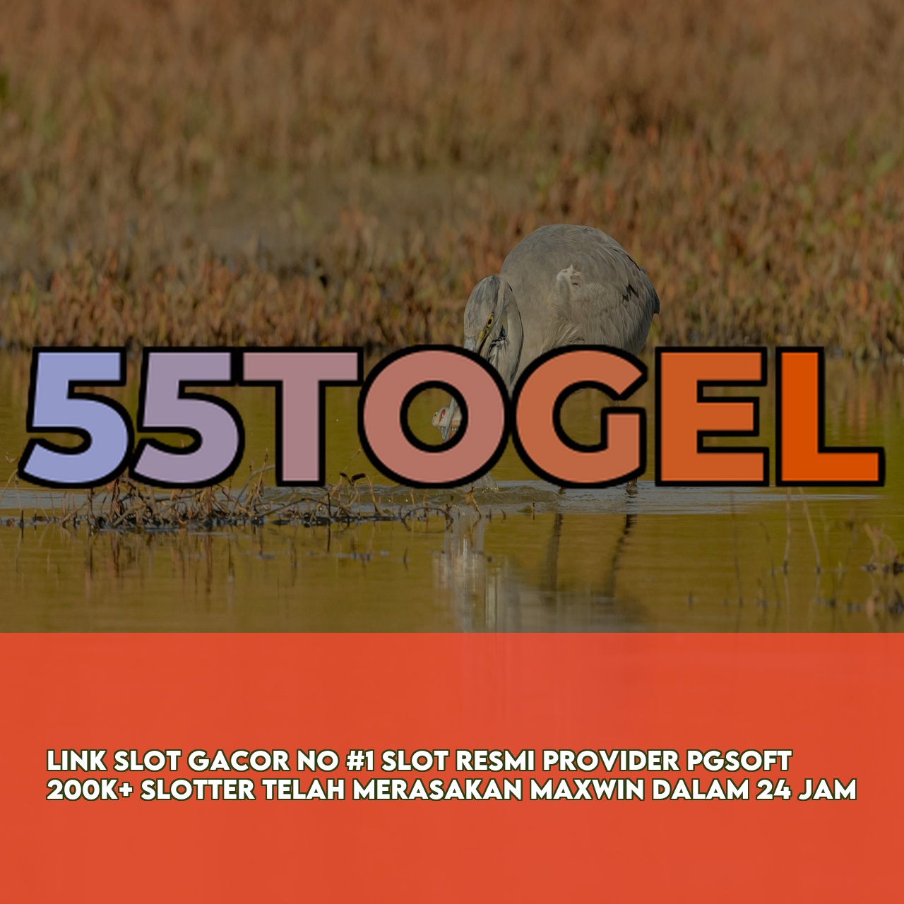 55TOGEL - Top Rated Online Game featuring High RTP & Maxwin Games Secure Transactions