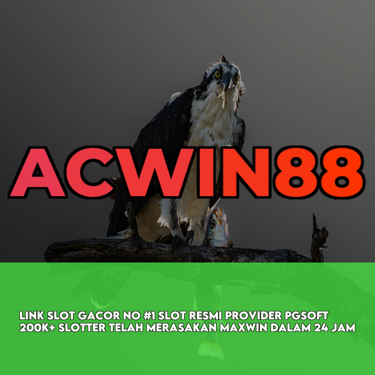 ACWIN88 : Top Rated Online Game featuring Easy Wins & Big Rewards & 24/7 Support