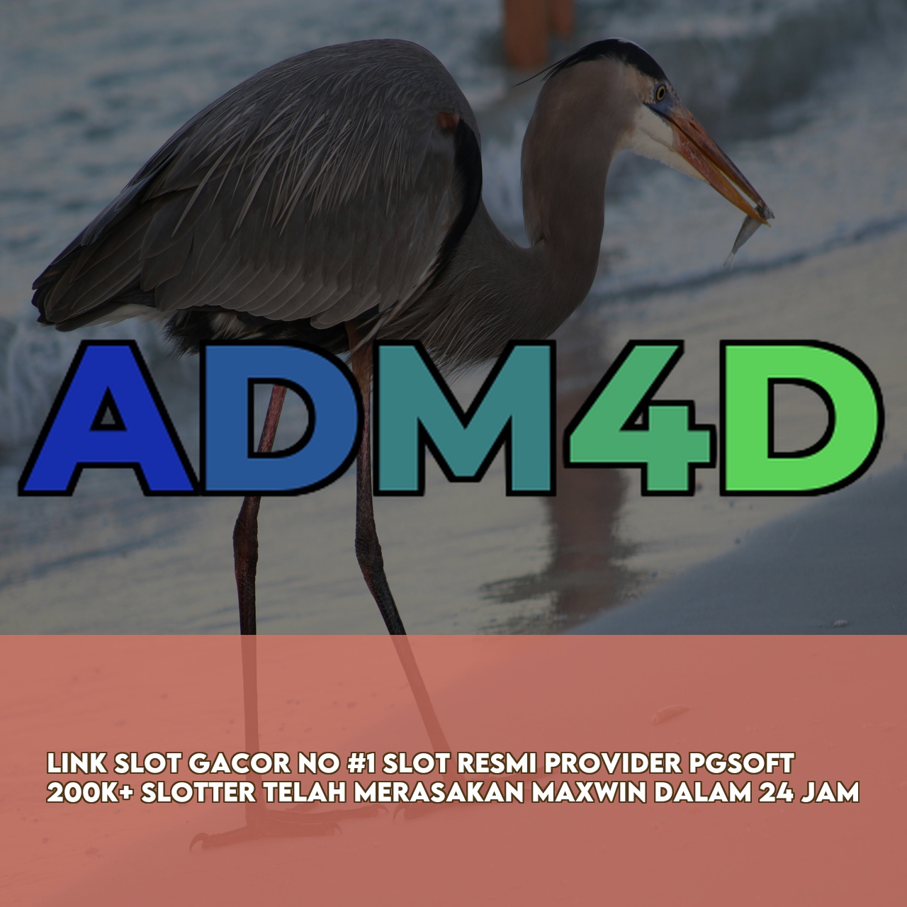 ADM4D : Trusted Gaming Platform featuring High Winning Potential Slots & 24/7 Support