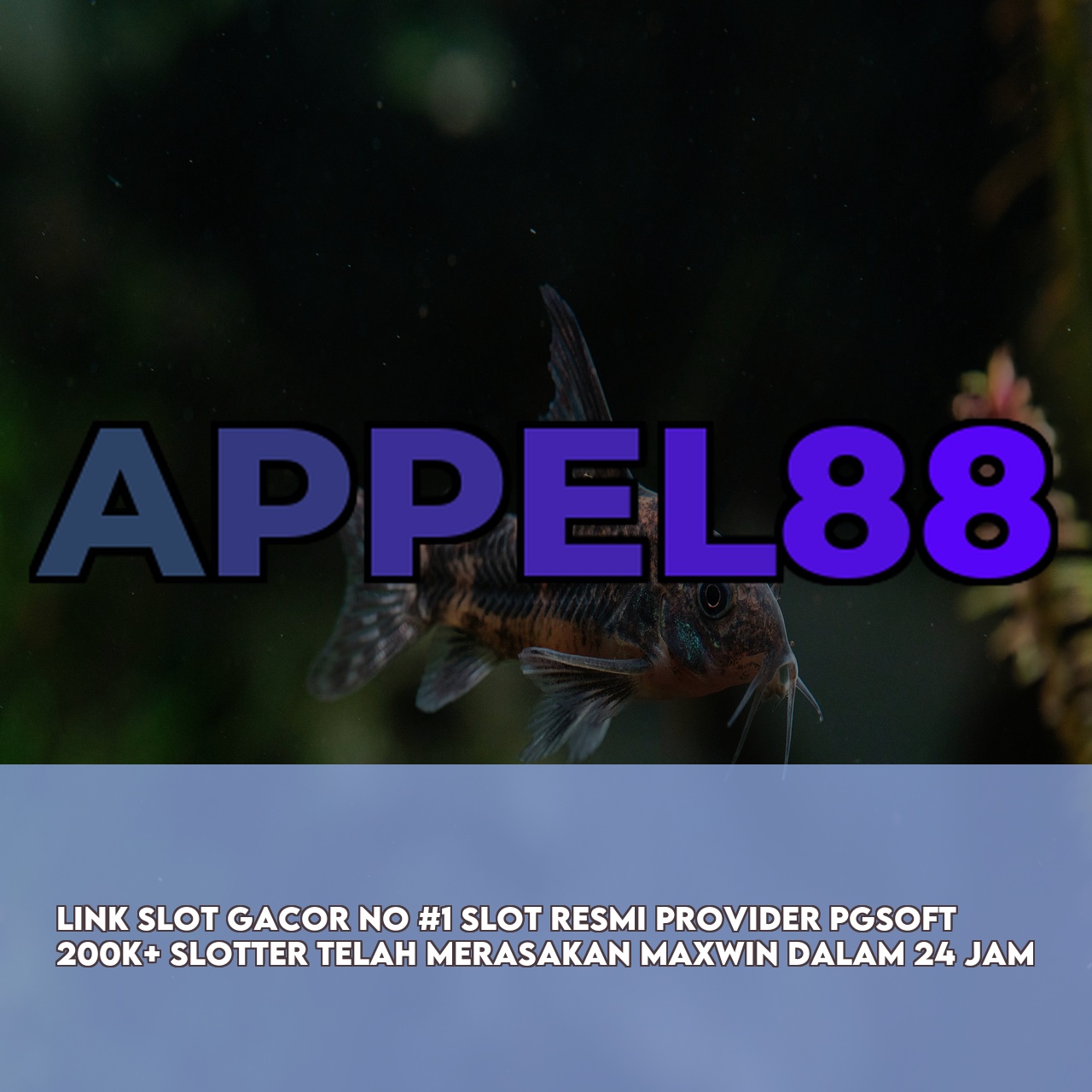 APPEL88 : Premium Online Game Link featuring High RTP & Maxwin Games Fast Withdrawals