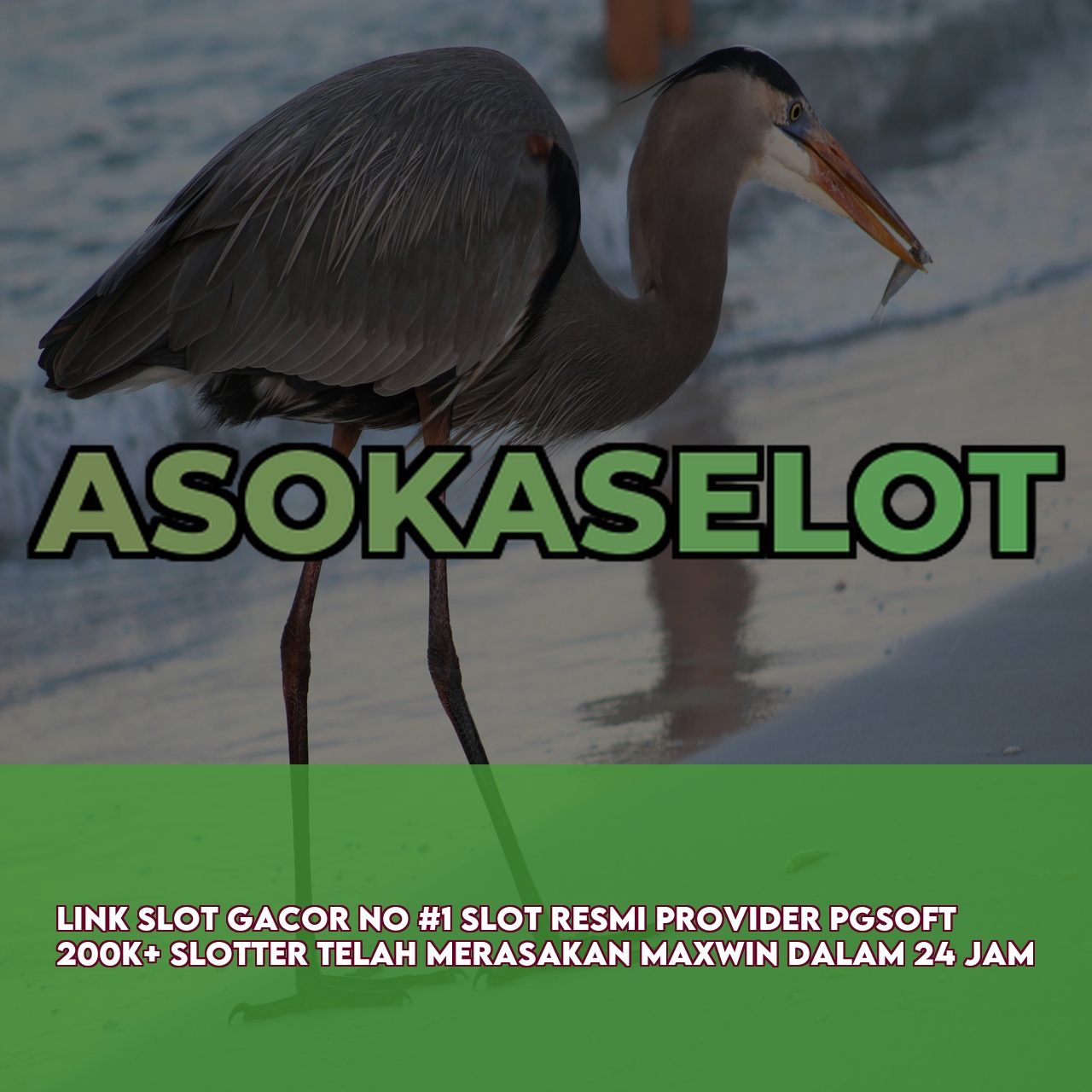 ASOKASELOT - Best Gaming Website featuring The Best Online Gaming Experience Instant Access