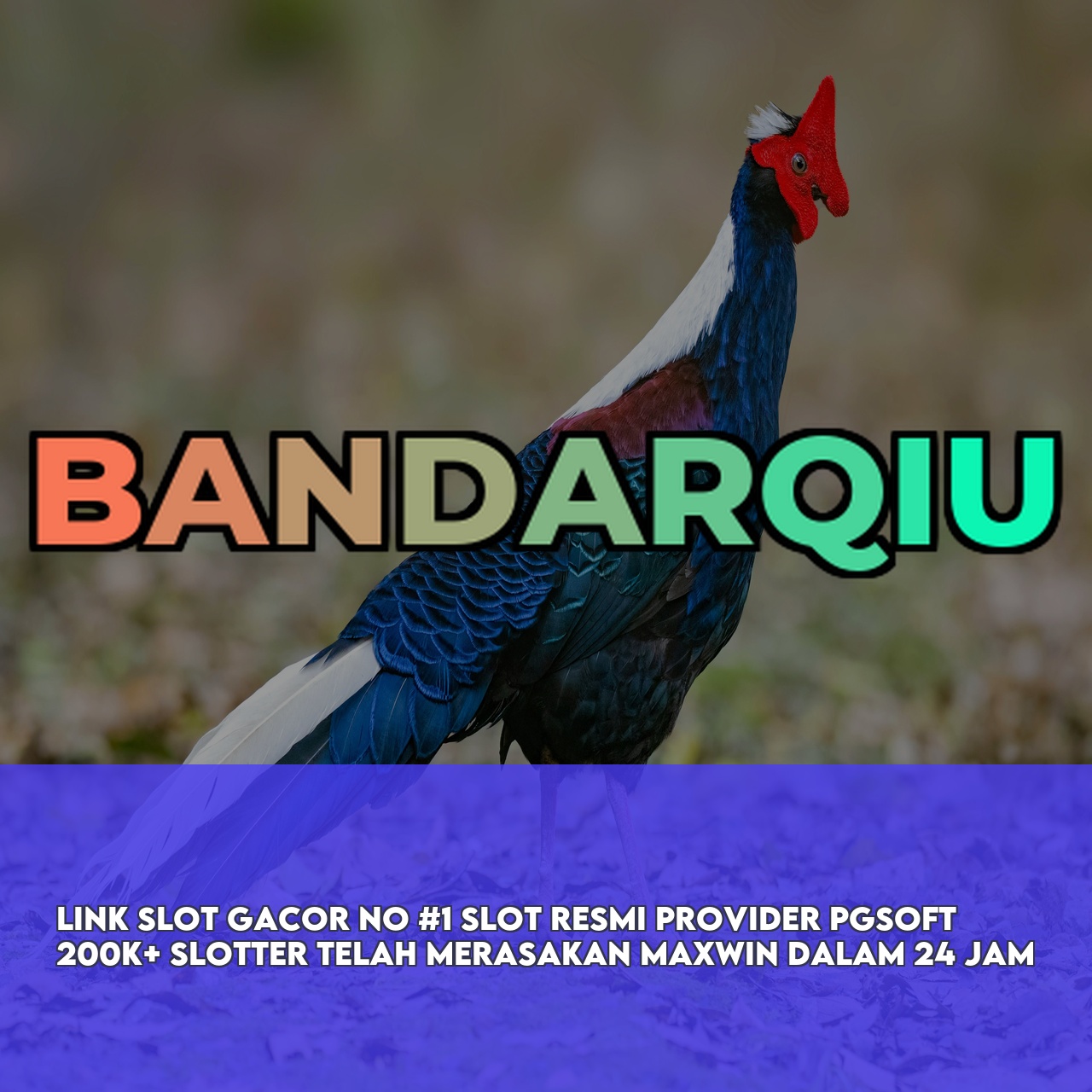 BANDARQIU - Top Rated Online Game featuring Easy Wins & Big Rewards Fast Withdrawals