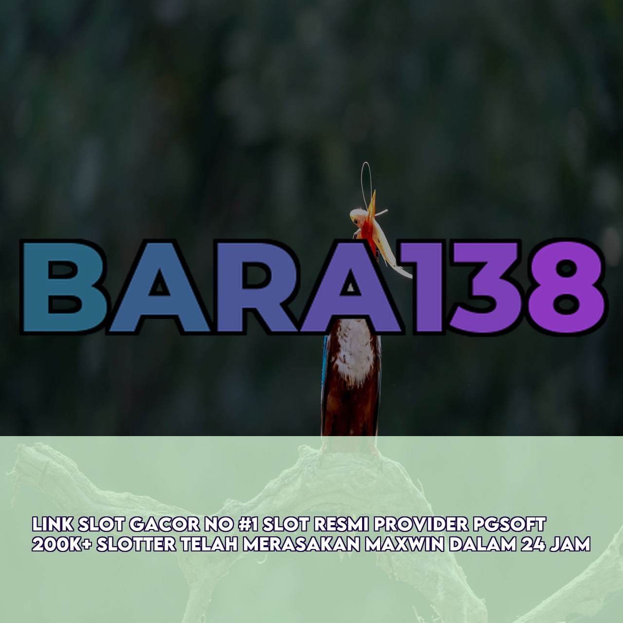 BARA138 - Official Game Online Site featuring The Best Online Gaming Experience & 24/7 Support