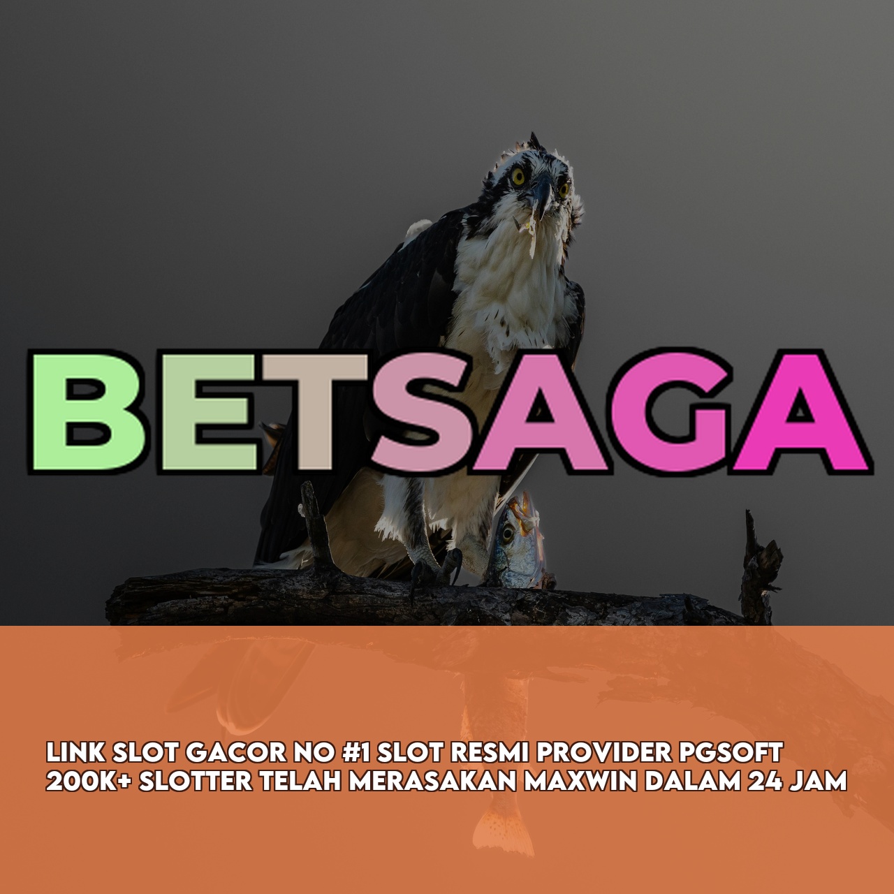 BETSAGA : Official Game Online Site featuring High RTP & Maxwin Games Secure Transactions