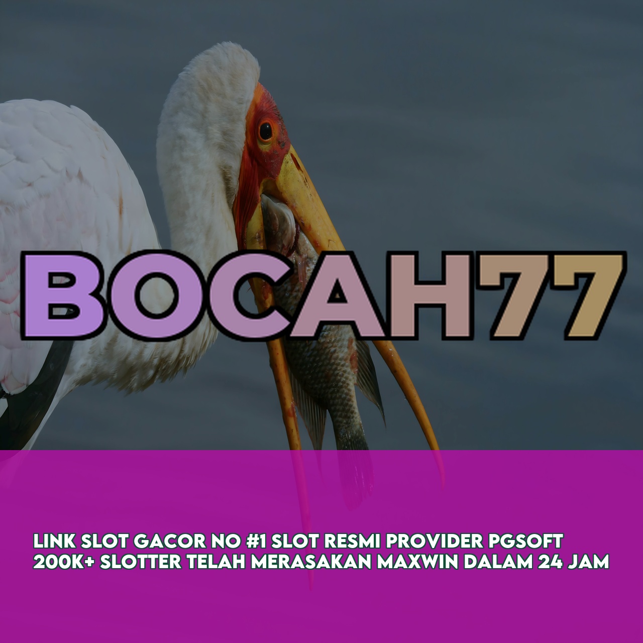 BOCAH77 : Official Game Online Site featuring High Winning Potential Slots Instant Access