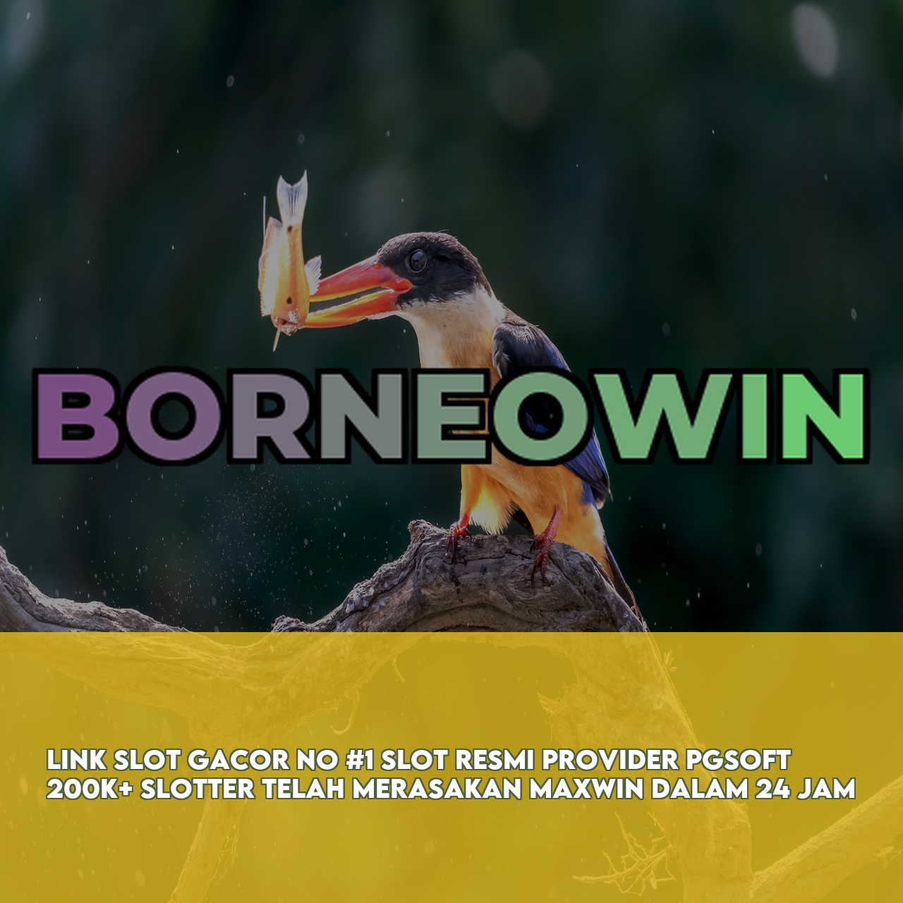 BORNEOWIN - Premium Online Game Link featuring High Winning Potential Slots Fast Withdrawals