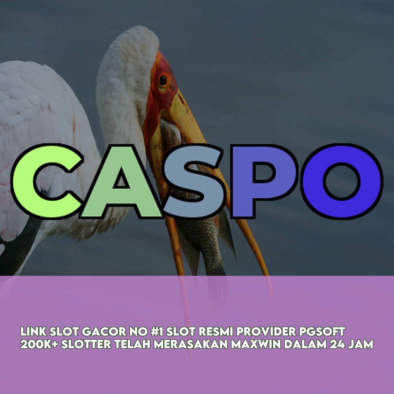 CASPO - Top Rated Online Game featuring High RTP & Maxwin Games & 24/7 Support
