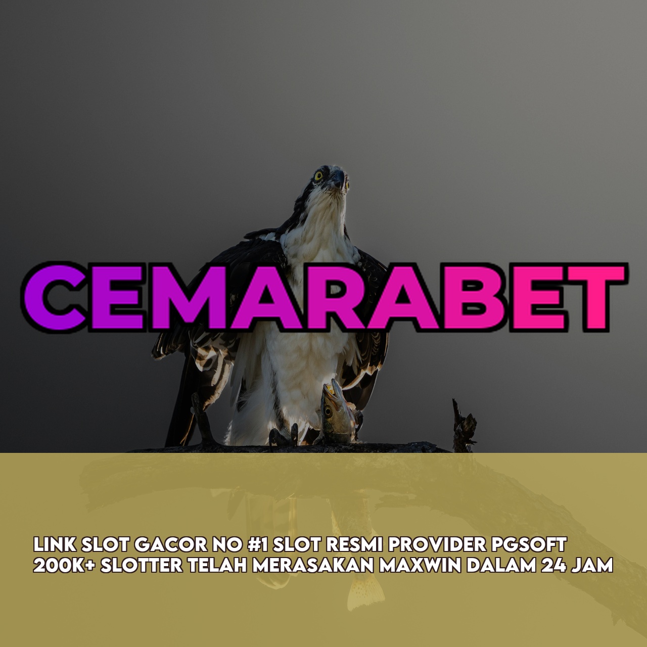 CEMARABET : Trusted Gaming Platform featuring High RTP & Maxwin Games Secure Transactions