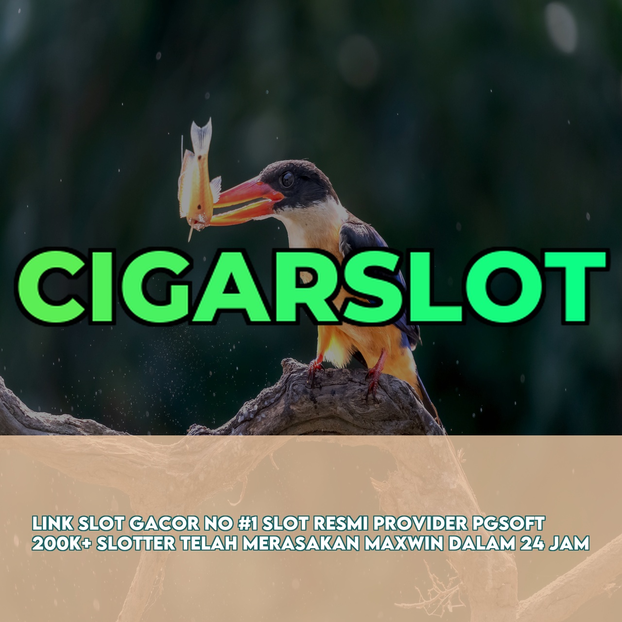 CIGARSLOT : Official Game Online Site featuring The Best Online Gaming Experience Responsive CS