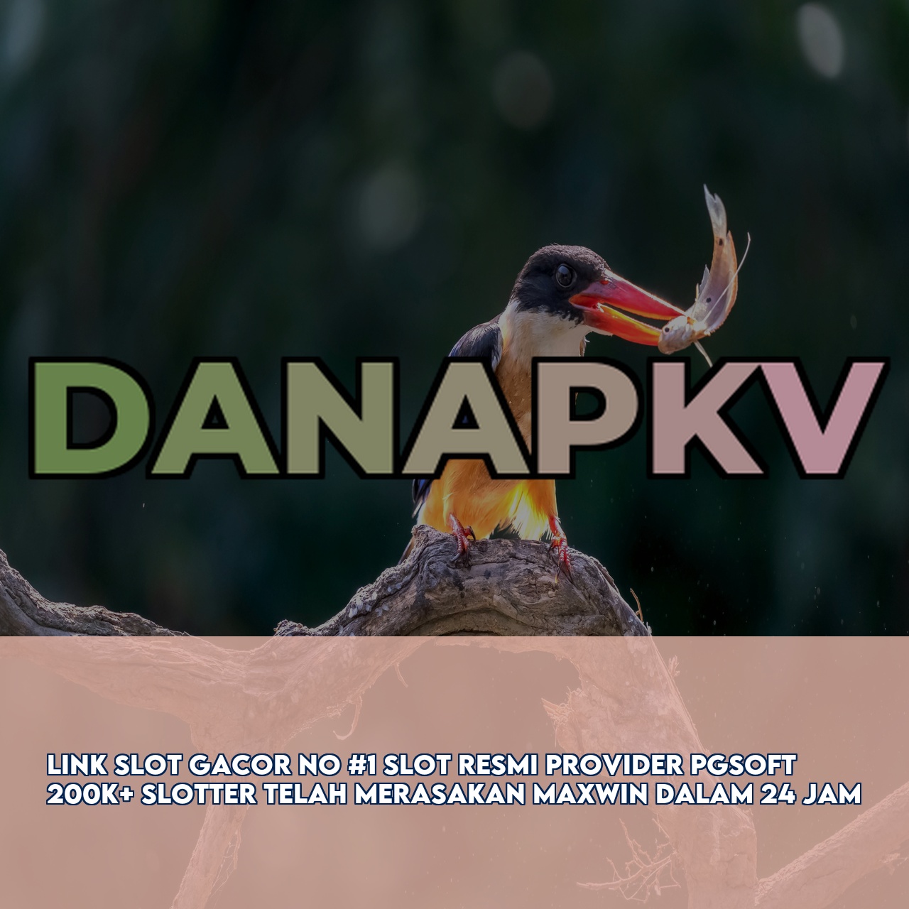 DANAPKV - Top Rated Online Game featuring Easy Wins & Big Rewards & 24/7 Support