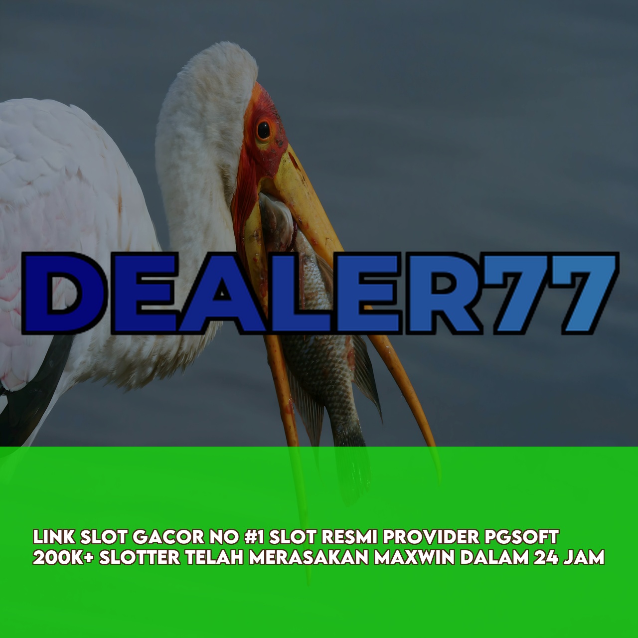DEALER77 - Official Game Online Site featuring The Best Online Gaming Experience Responsive CS