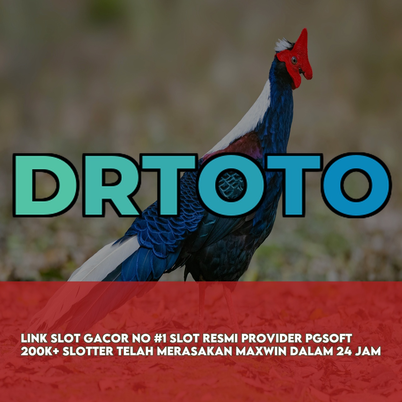 DRTOTO # Premium Online Game Link featuring High RTP & Maxwin Games Fast Withdrawals