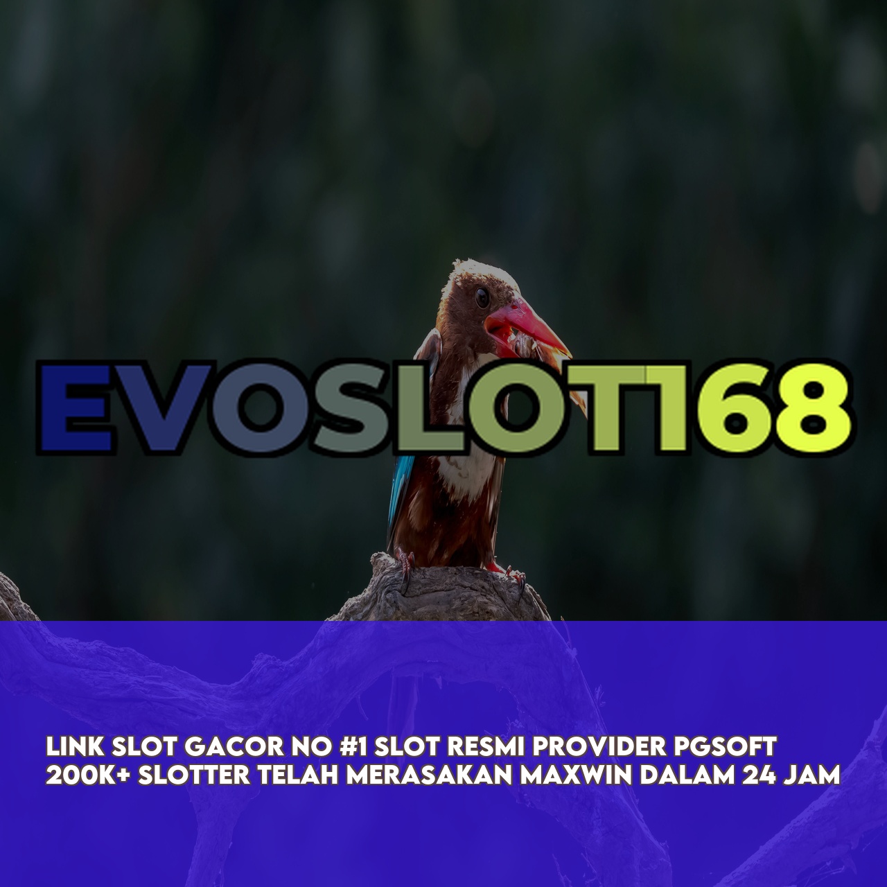EVOSLOT168 - Best Gaming Website featuring Massive Daily Jackpots & 24/7 Support