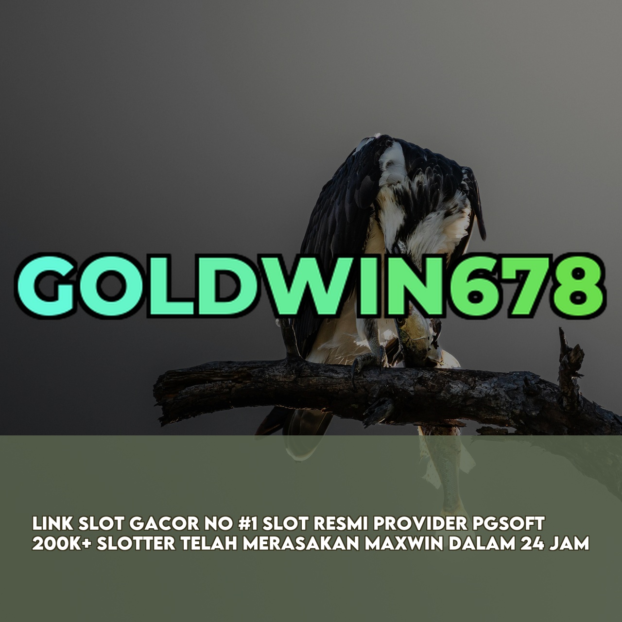 GOLDWIN678 : Best Gaming Website featuring Easy Wins & Big Rewards Responsive CS