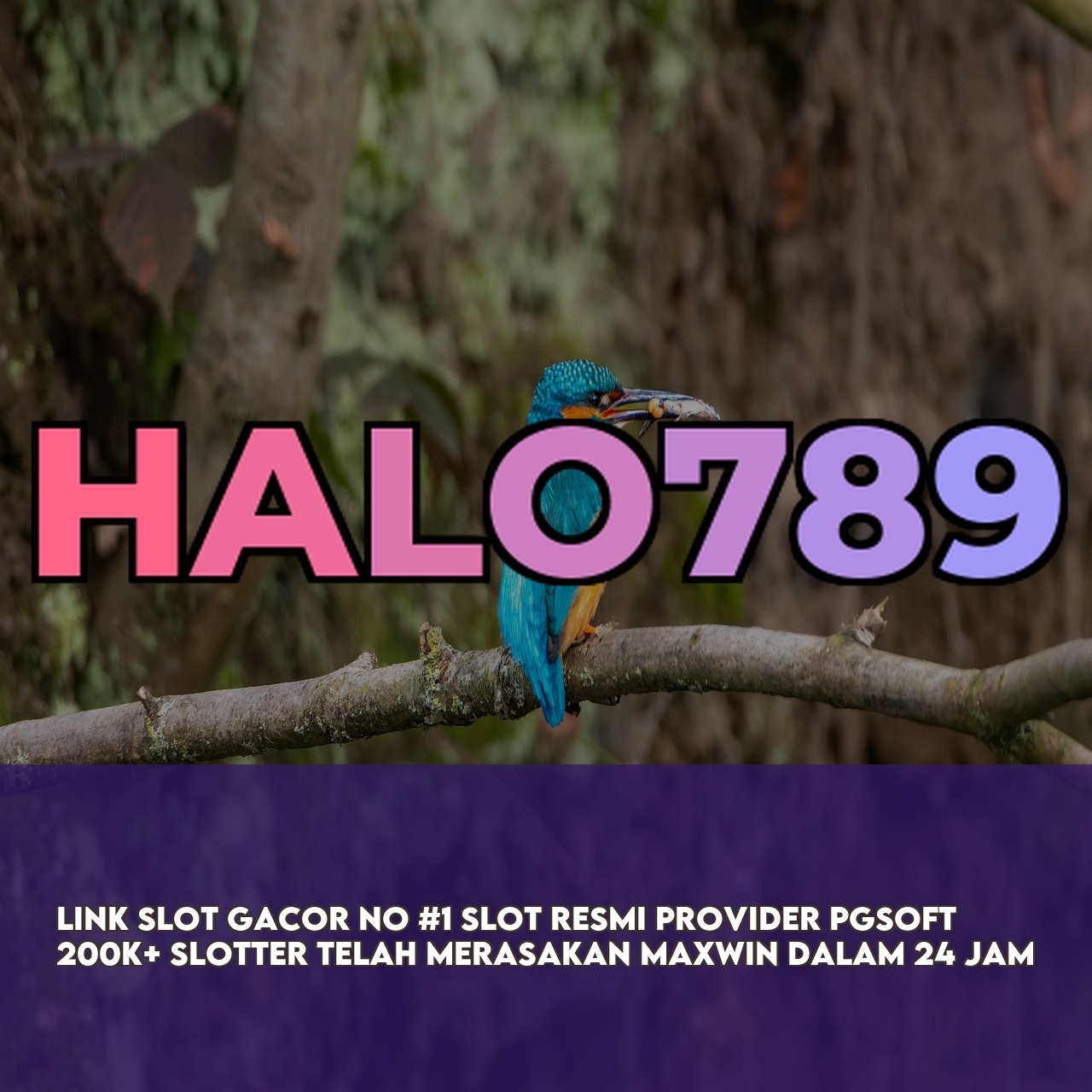 HALO789 # Premium Online Game Link featuring High Winning Potential Slots Responsive CS