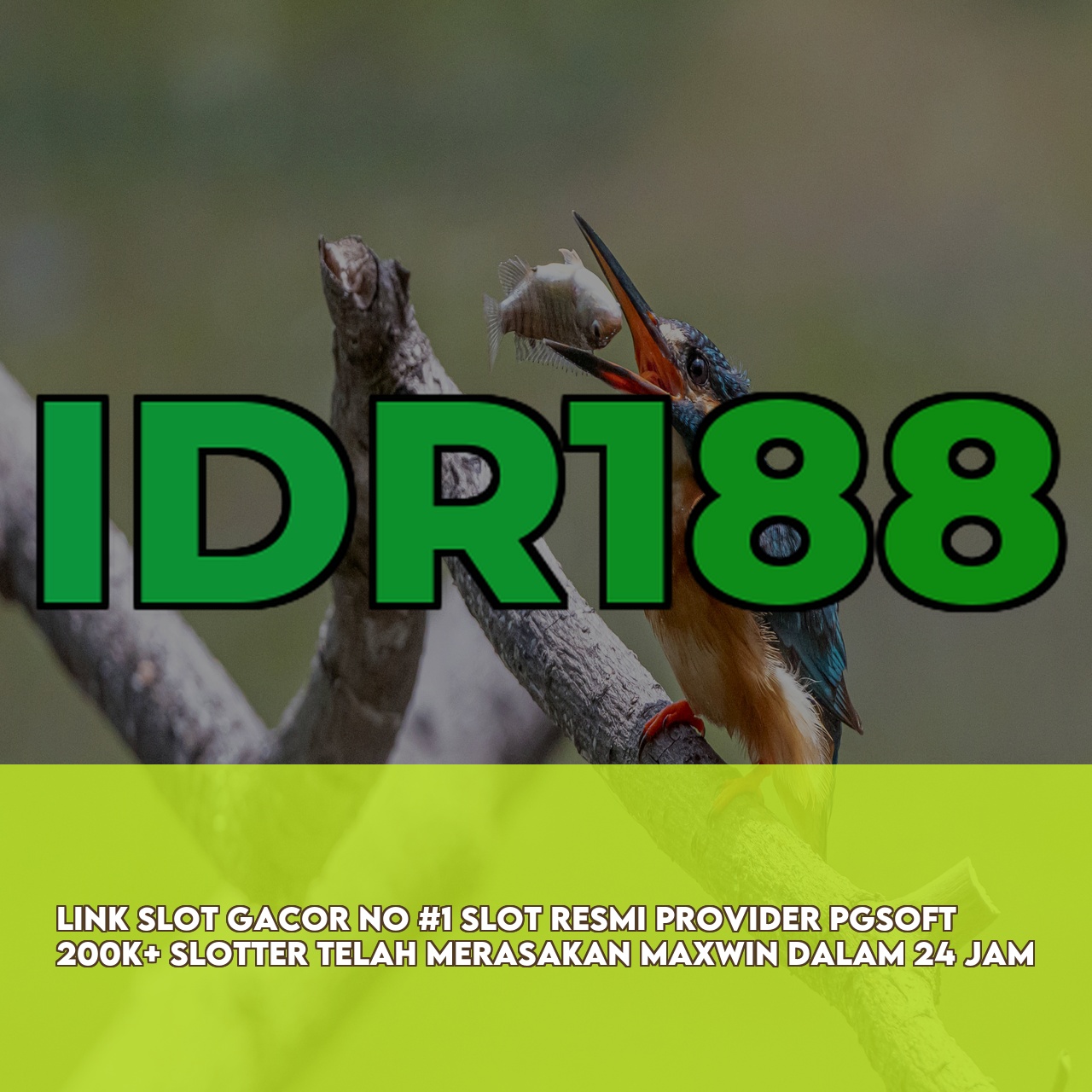 IDR188 - Trusted Gaming Platform featuring High Winning Potential Slots Fast Withdrawals