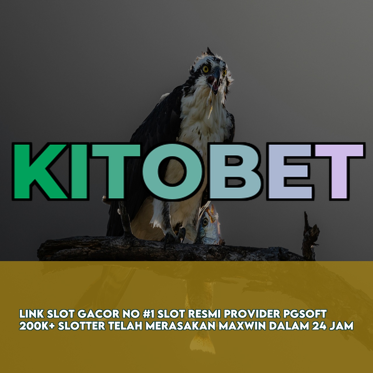 KITOBET : Best Gaming Website featuring High RTP & Maxwin Games Secure Transactions