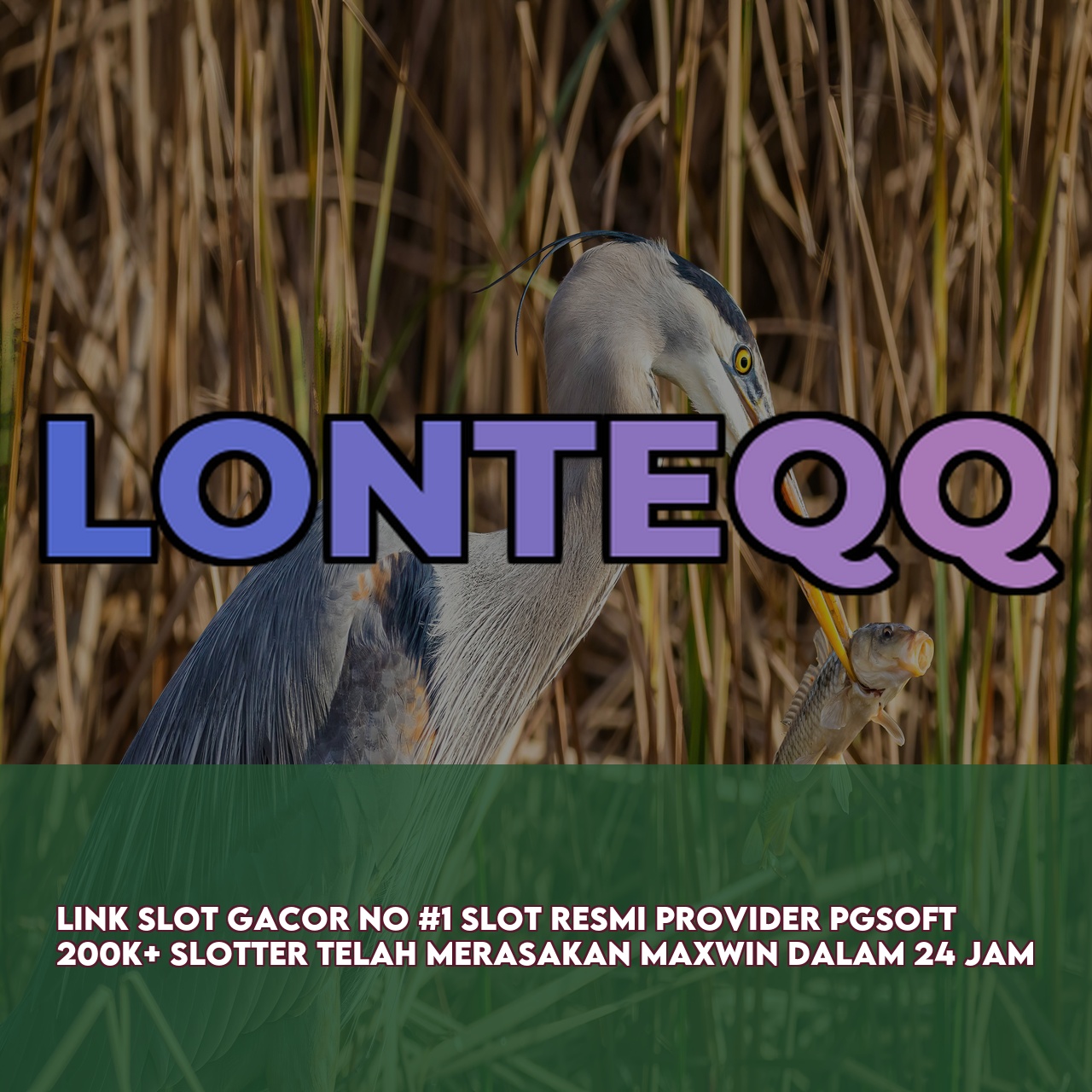 LONTEQQ : Official Game Online Site featuring The Best Online Gaming Experience Secure Transactions