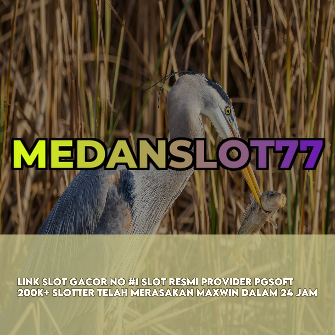 MEDANSLOT77 # Official Game Online Site featuring Easy Wins & Big Rewards Responsive CS