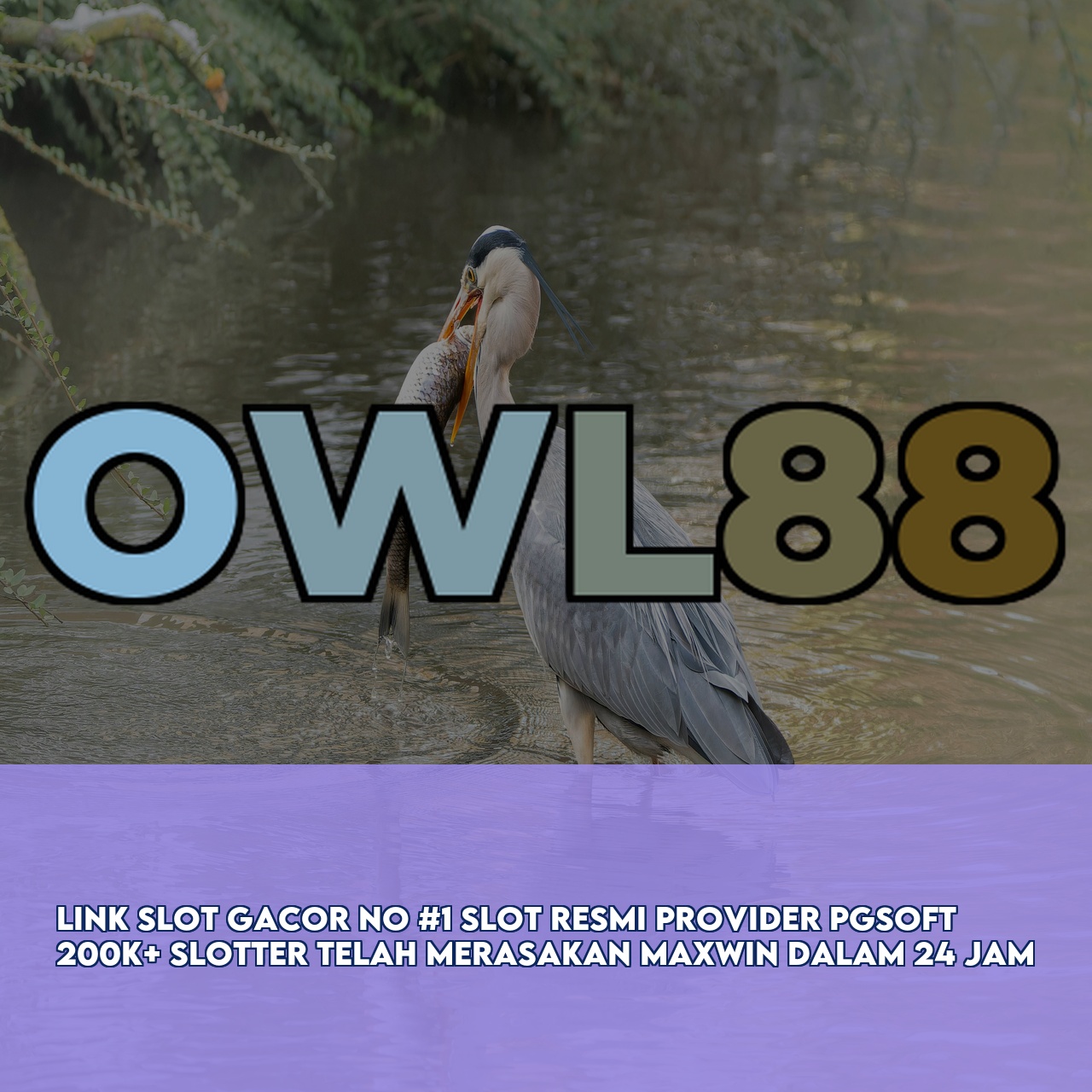 OWL88 : Trusted Gaming Platform featuring High Winning Potential Slots & 24/7 Support