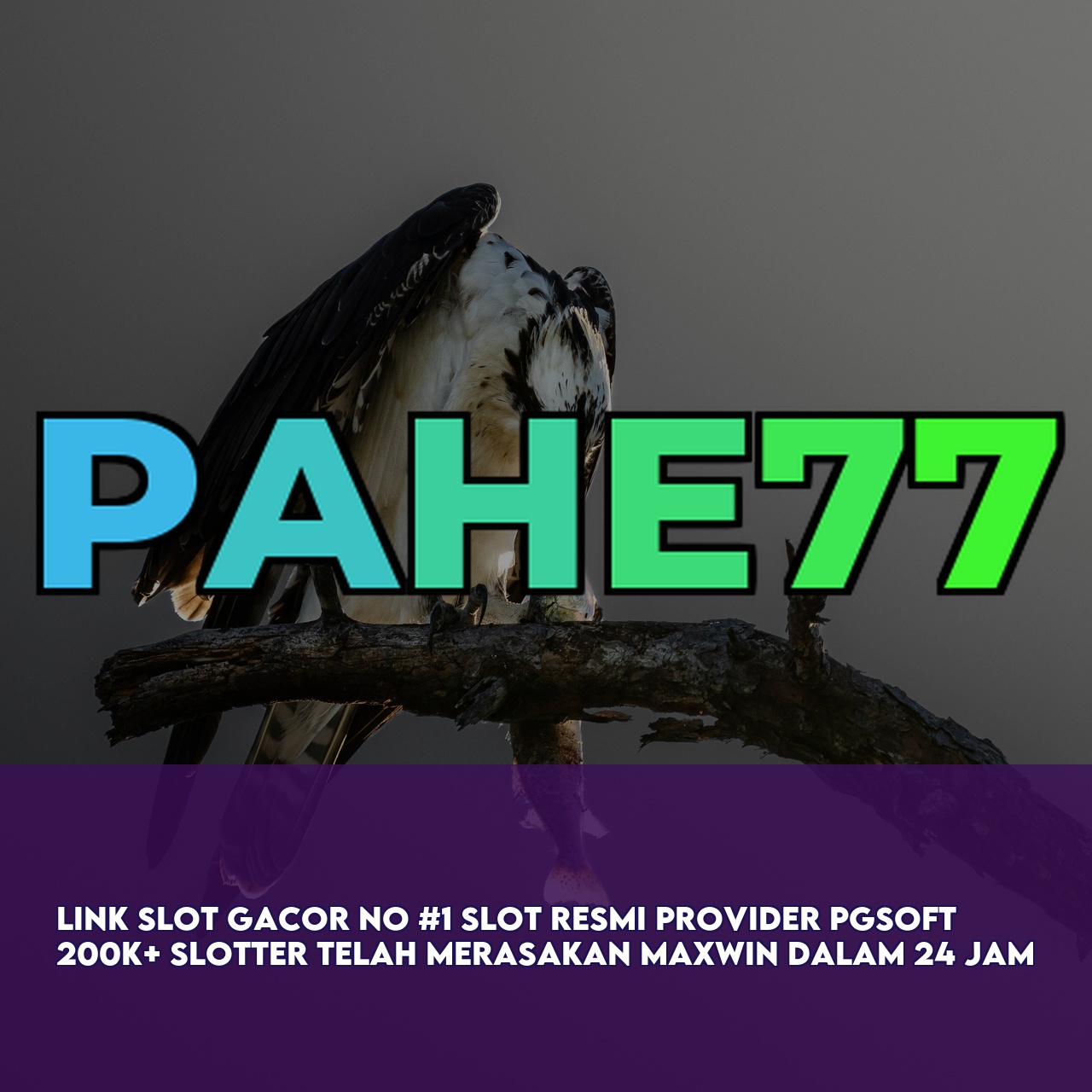 PAHE77 - Top Rated Online Game featuring Easy Wins & Big Rewards & 24/7 Support
