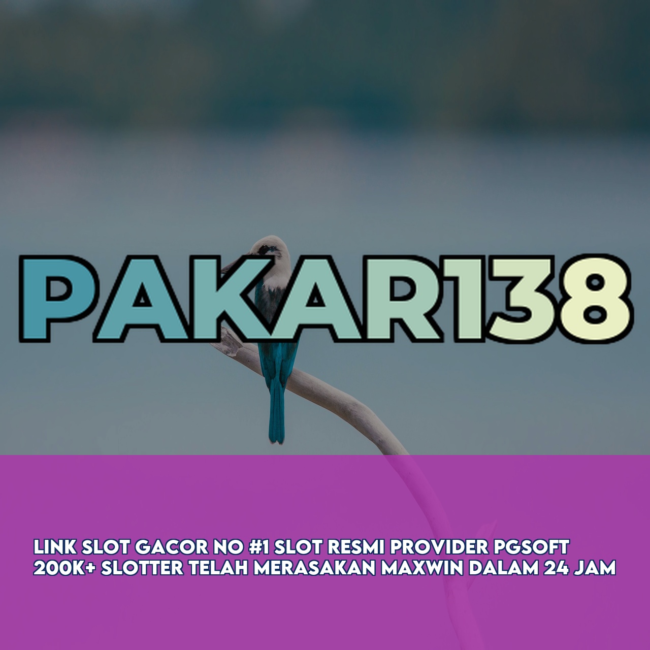 PAKAR138 : Trusted Gaming Platform featuring High RTP & Maxwin Games Responsive CS