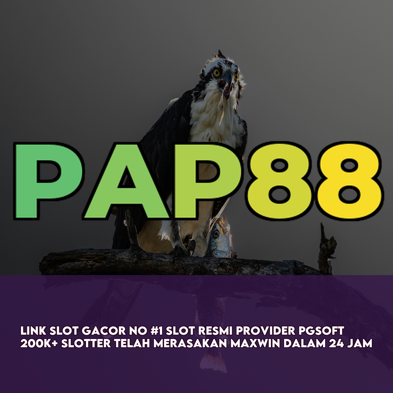 PAP88 : Top Rated Online Game featuring Easy Wins & Big Rewards & 24/7 Support