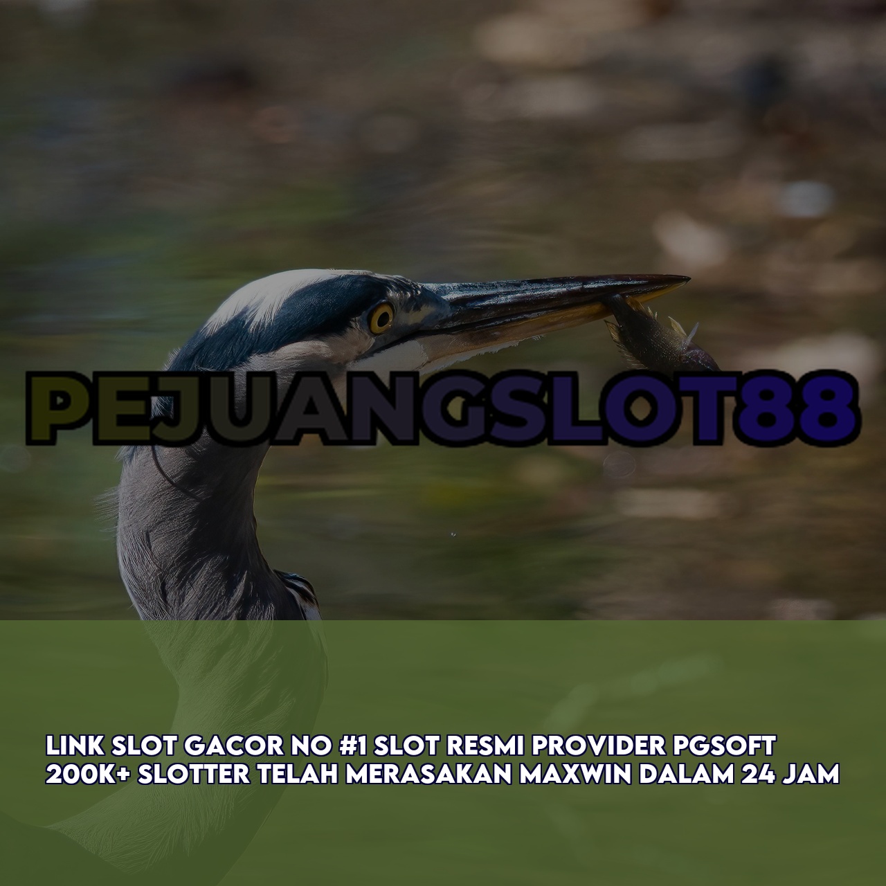 PEJUANGSLOT88 - Best Gaming Website featuring High RTP & Maxwin Games Responsive CS