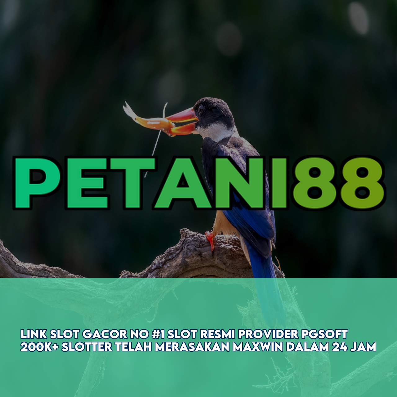 PETANI88 - Trusted Gaming Platform featuring High RTP & Maxwin Games Responsive CS