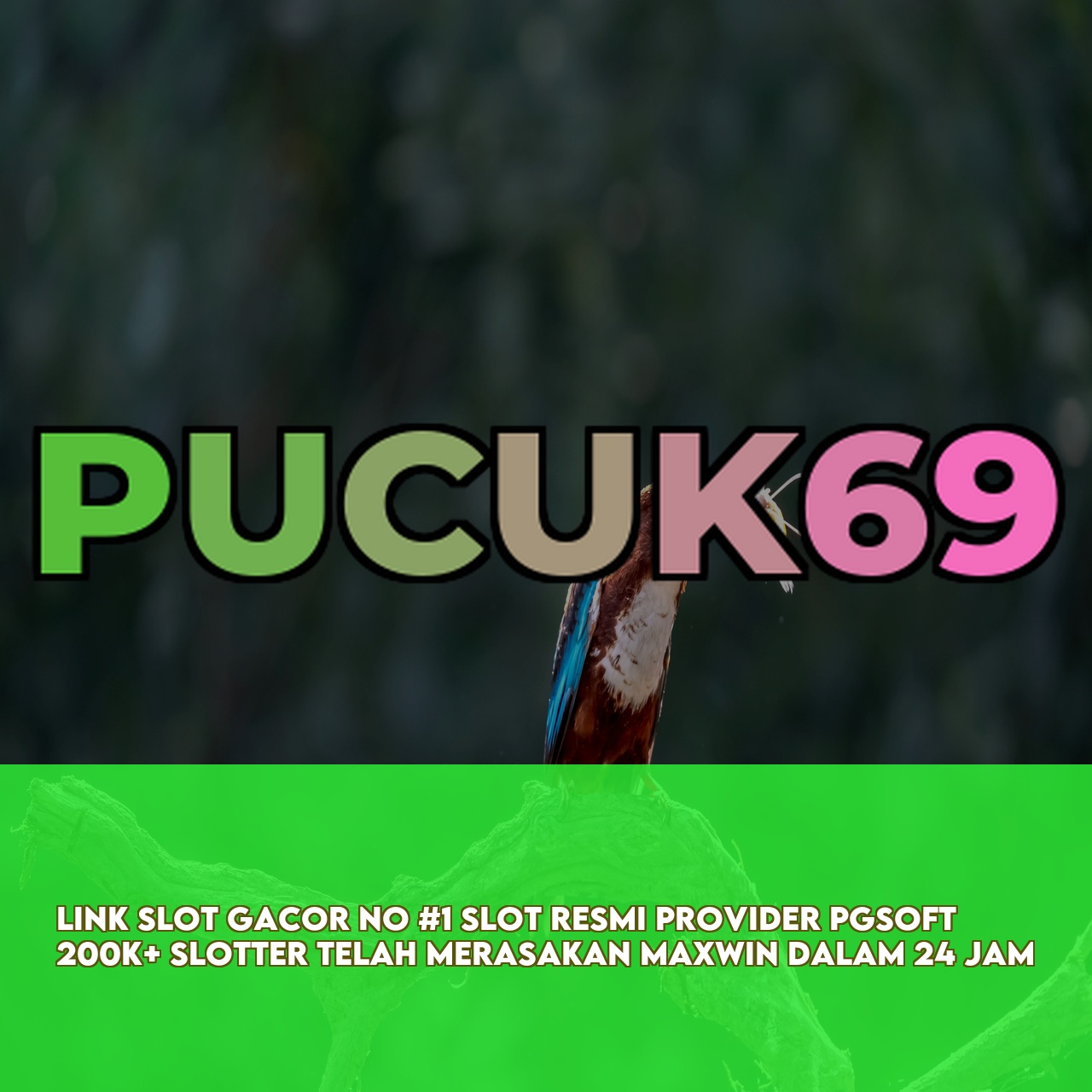 PUCUK69 - Top Rated Online Game featuring Massive Daily Jackpots & 24/7 Support