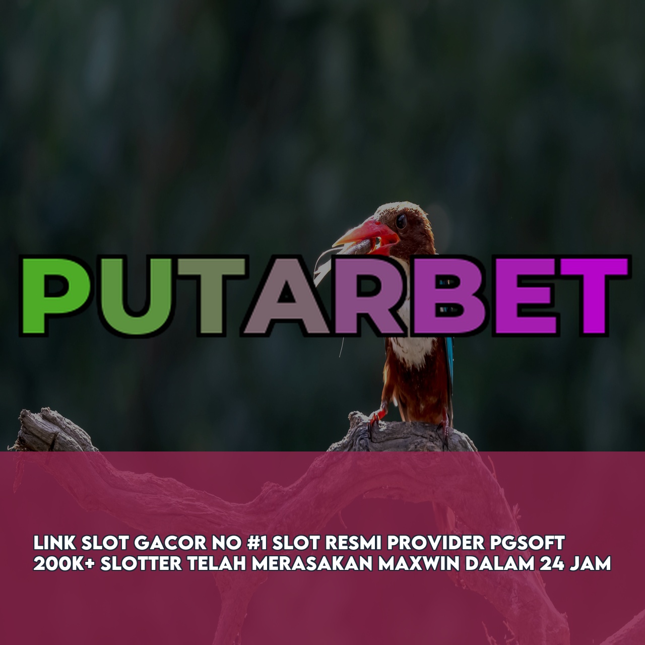 PUTARBET - Premium Online Game Link featuring Massive Daily Jackpots Fast Withdrawals