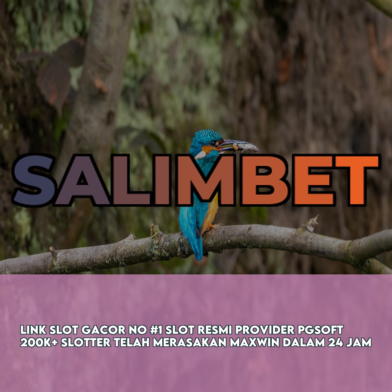 SALIMBET # Best Gaming Website featuring Easy Wins & Big Rewards Secure Transactions
