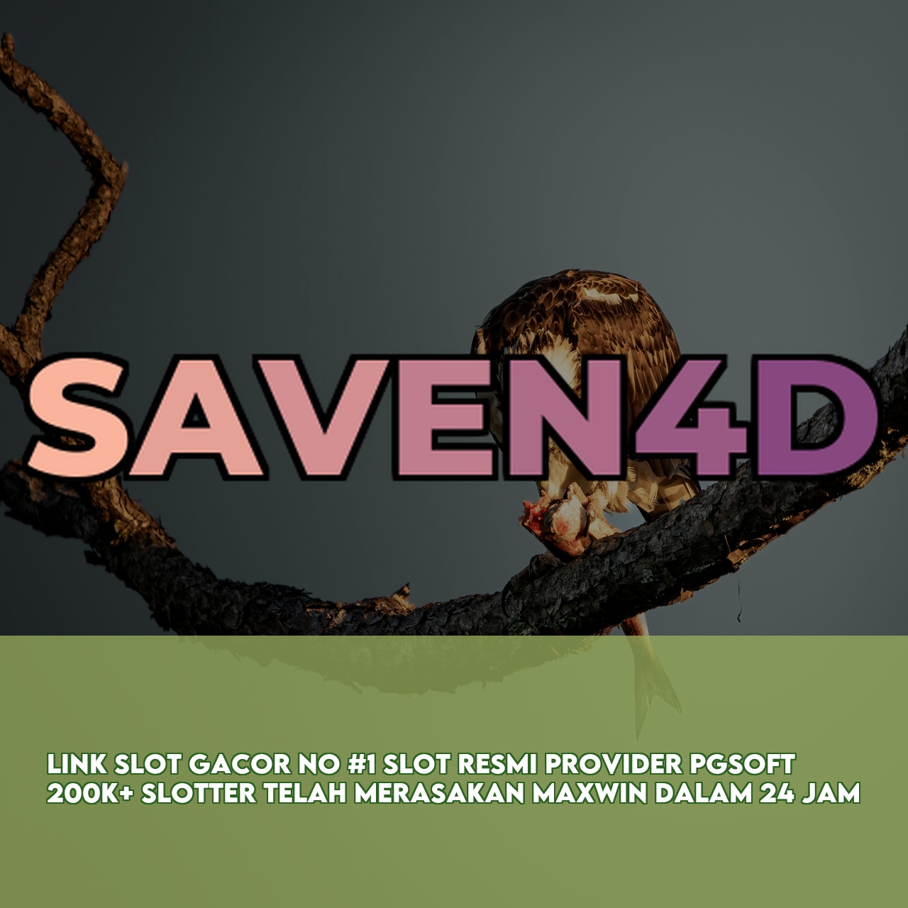 SAVEN4D : Best Gaming Website featuring Massive Daily Jackpots Instant Access