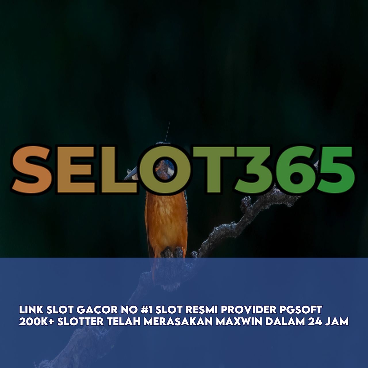 SELOT365 : Best Gaming Website featuring High RTP & Maxwin Games Fast Withdrawals