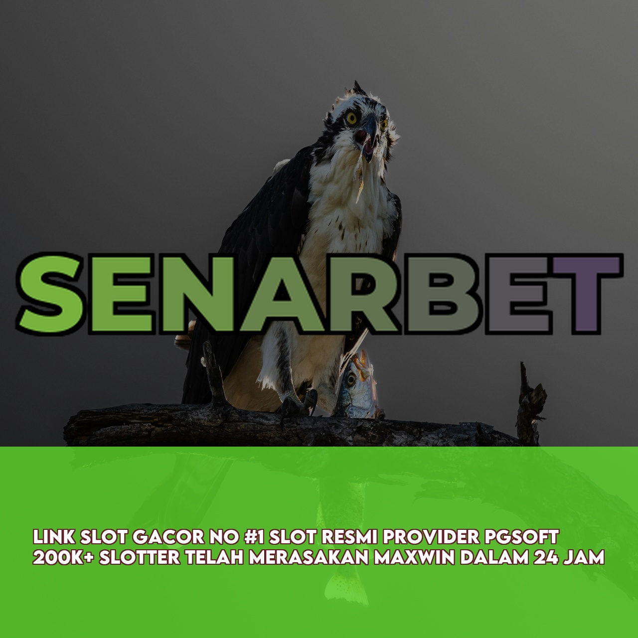 SENARBET : Trusted Gaming Platform featuring High Winning Potential Slots & 24/7 Support