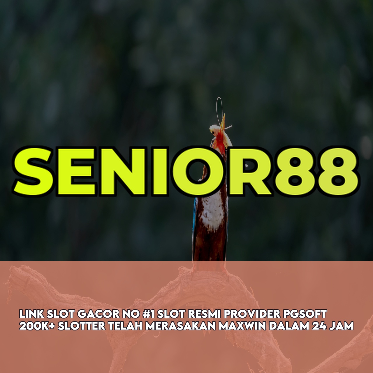 SENIOR88 - Top Rated Online Game featuring Massive Daily Jackpots Instant Access