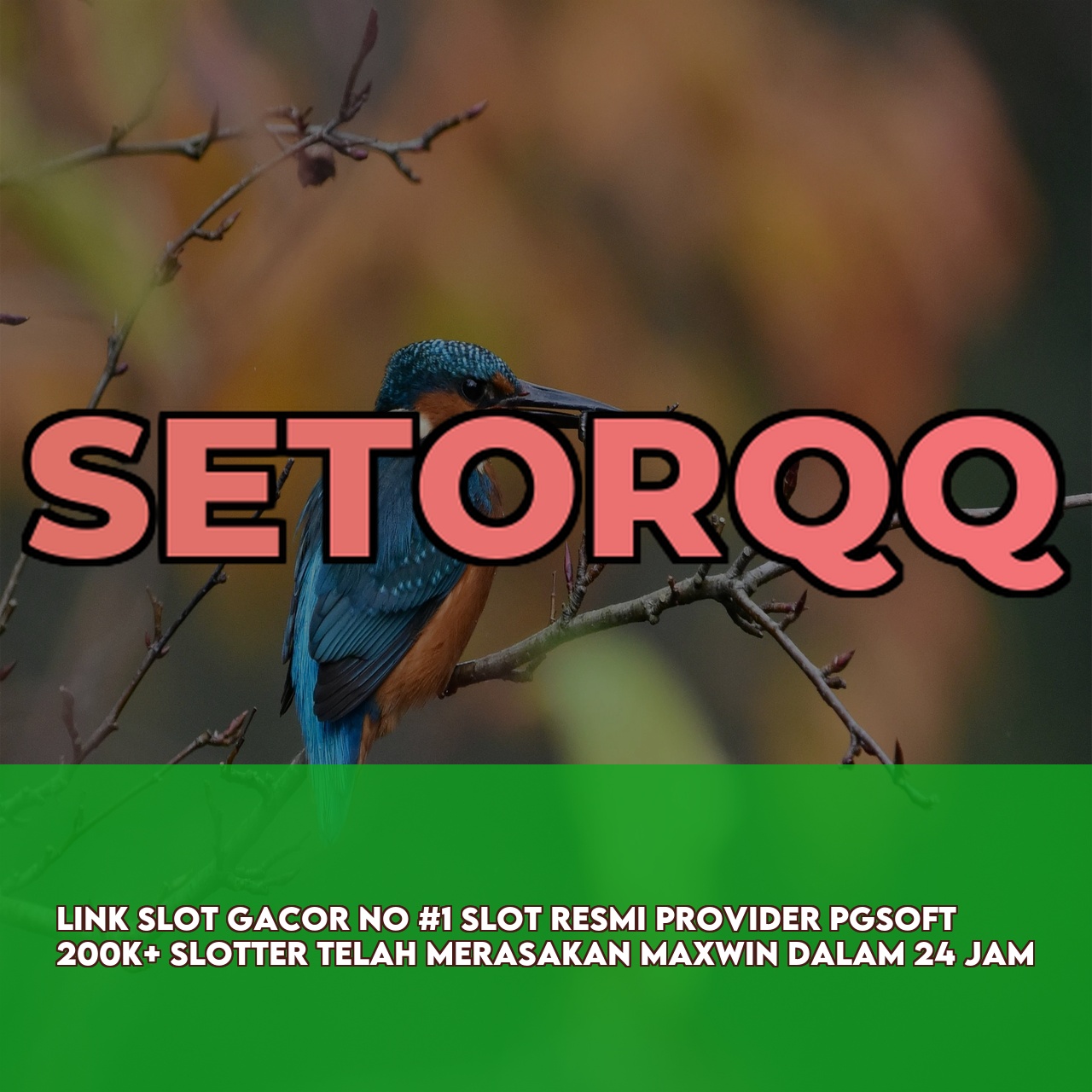 SETORQQ : Premium Online Game Link featuring Easy Wins & Big Rewards Fast Withdrawals
