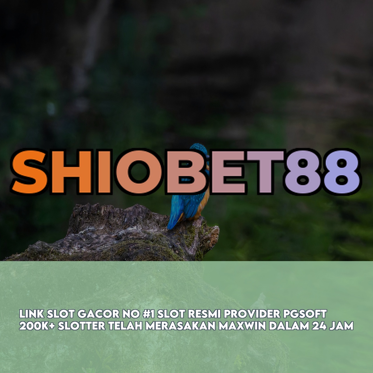 SHIOBET88 : Top Rated Online Game featuring Easy Wins & Big Rewards Responsive CS
