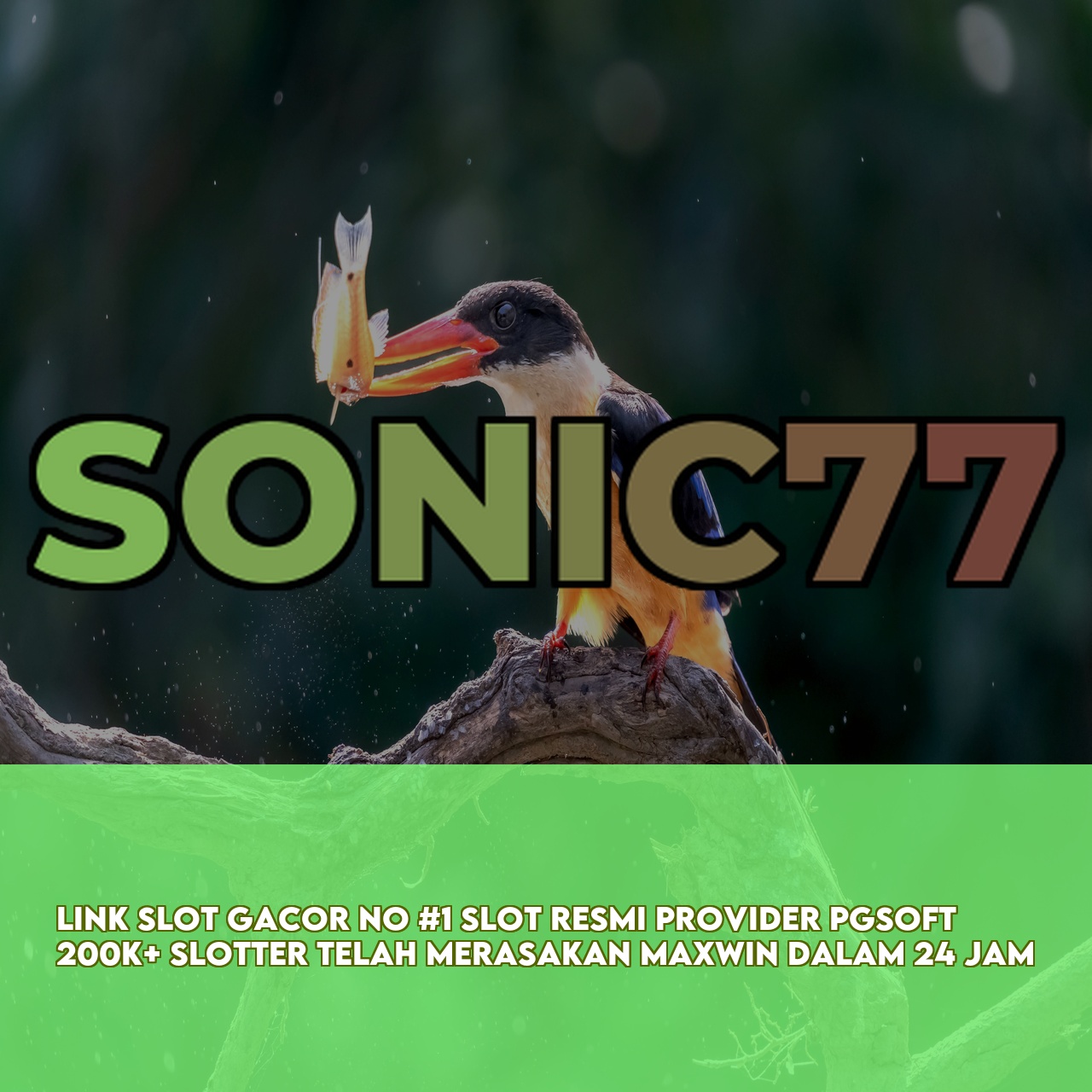 SONIC77 - Premium Online Game Link featuring High Winning Potential Slots Instant Access
