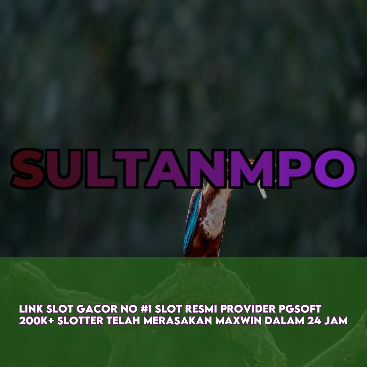 SULTANMPO : Best Gaming Website featuring The Best Online Gaming Experience Responsive CS
