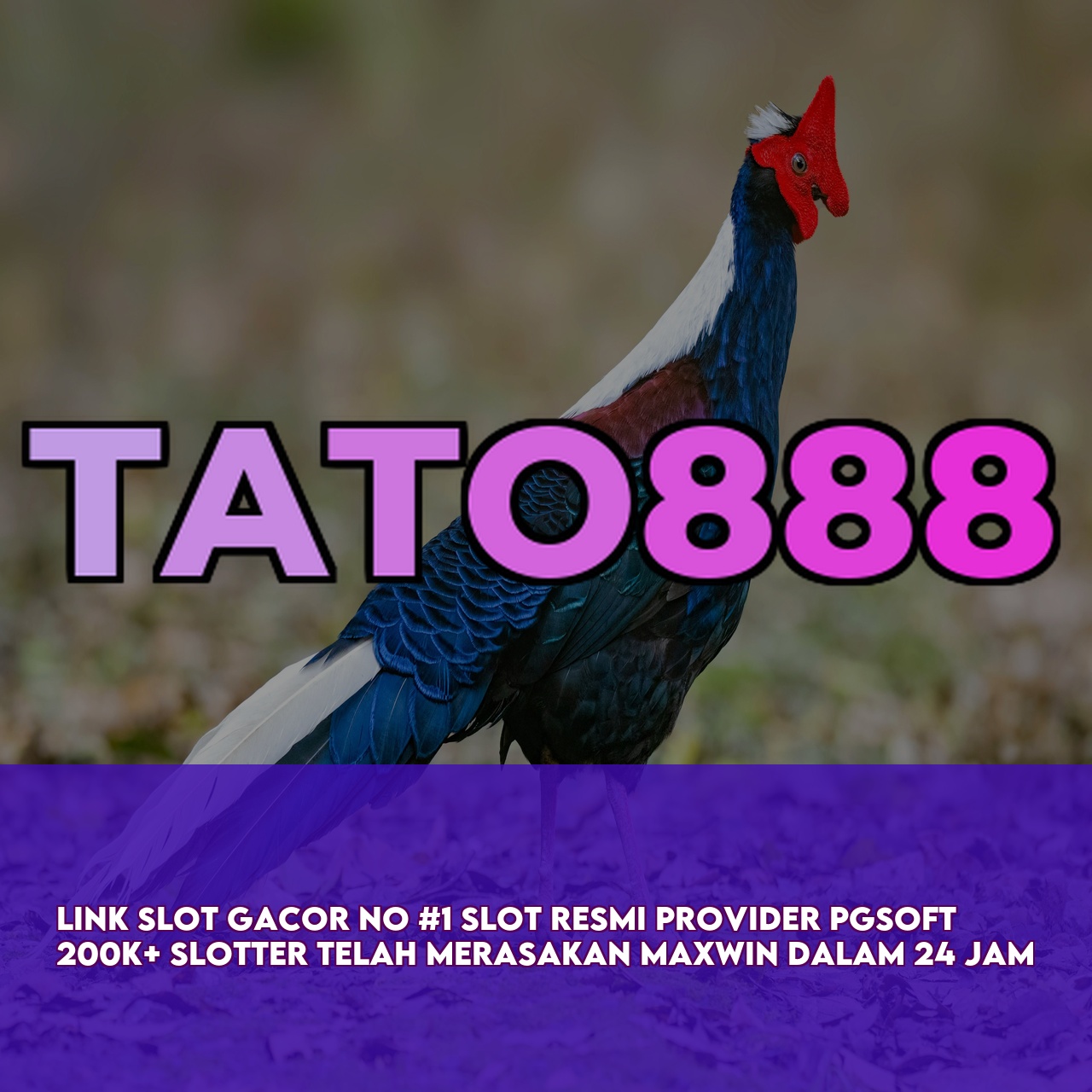TATO888 : Trusted Gaming Platform featuring Massive Daily Jackpots Fast Withdrawals