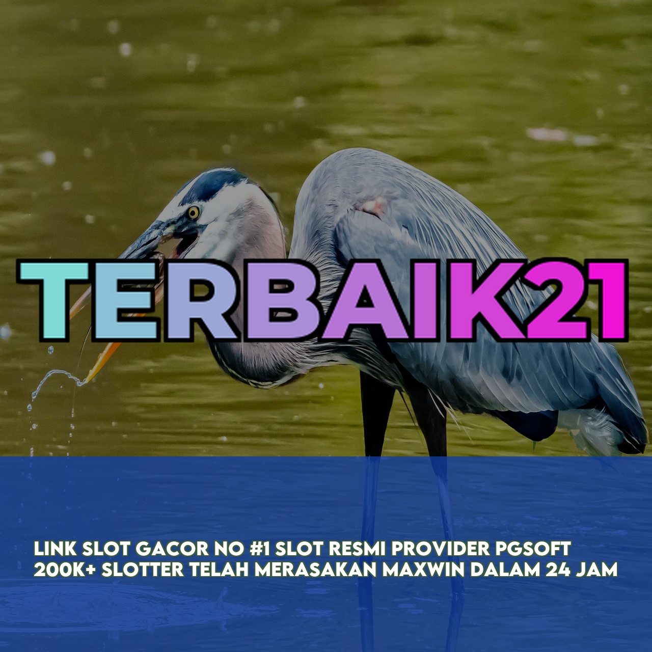 TERBAIK21 : Top Rated Online Game featuring High Winning Potential Slots Secure Transactions
