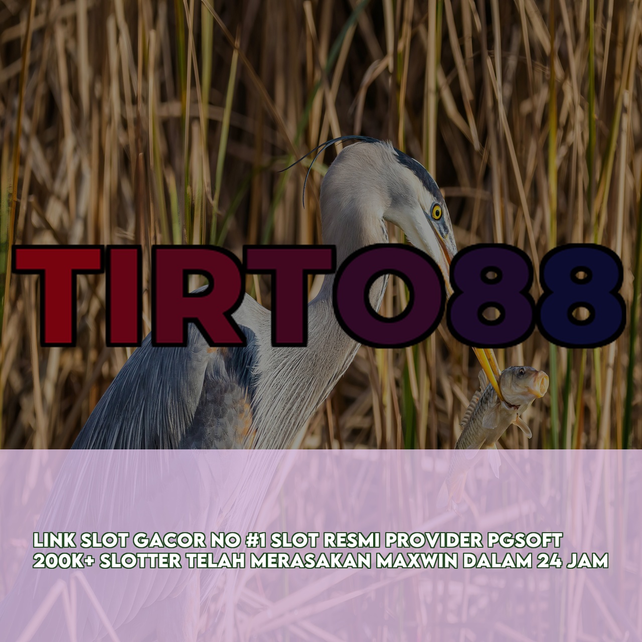 TIRTO88 : Best Gaming Website featuring High Winning Potential Slots Instant Access