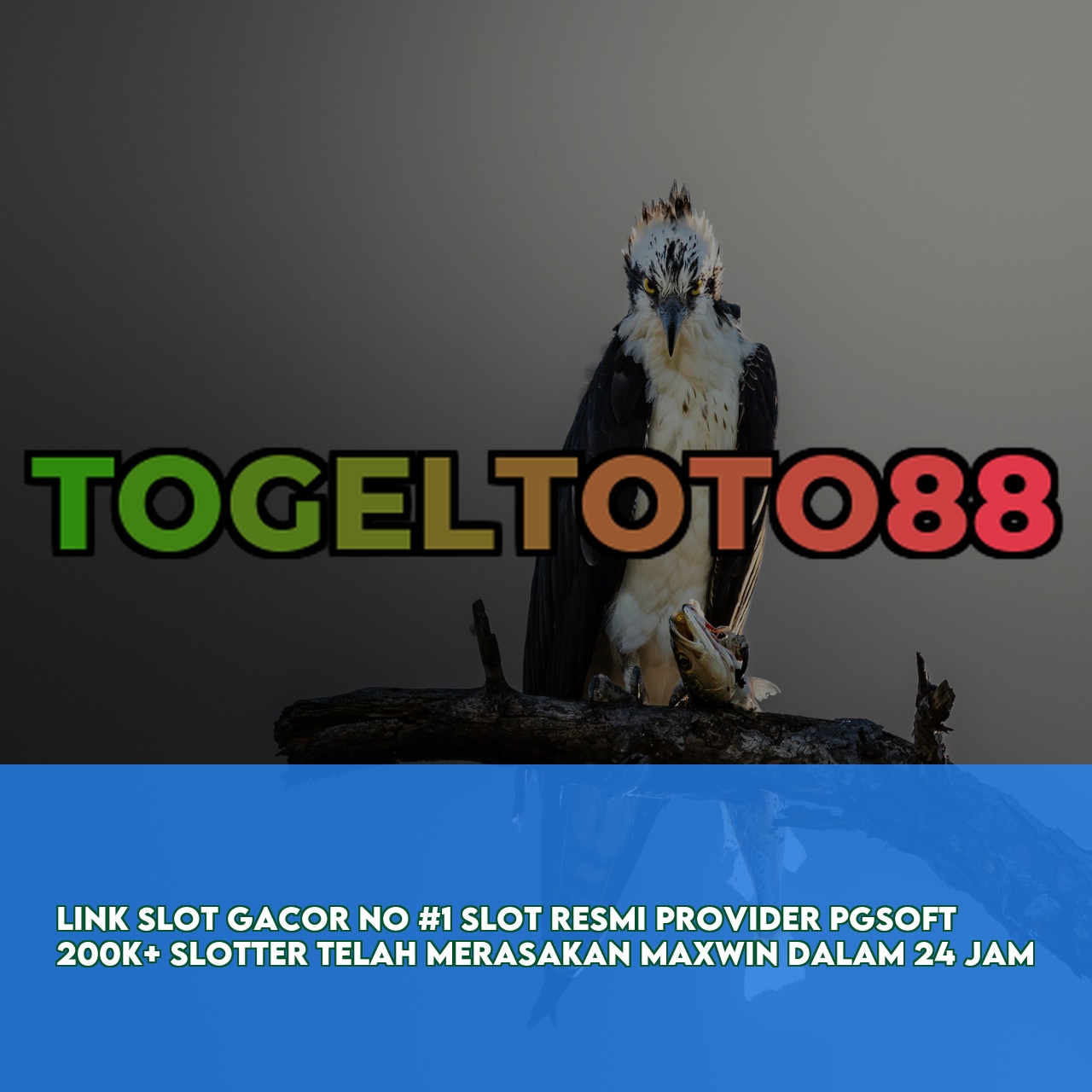 TOGELTOTO88 # Best Gaming Website featuring Massive Daily Jackpots Secure Transactions