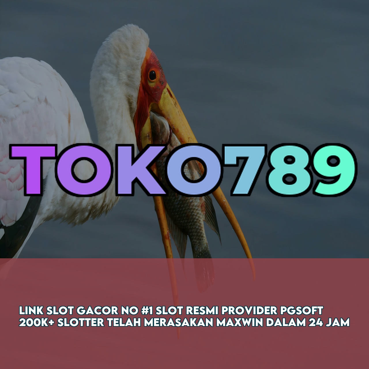 TOKO789 : Official Game Online Site featuring Easy Wins & Big Rewards Instant Access