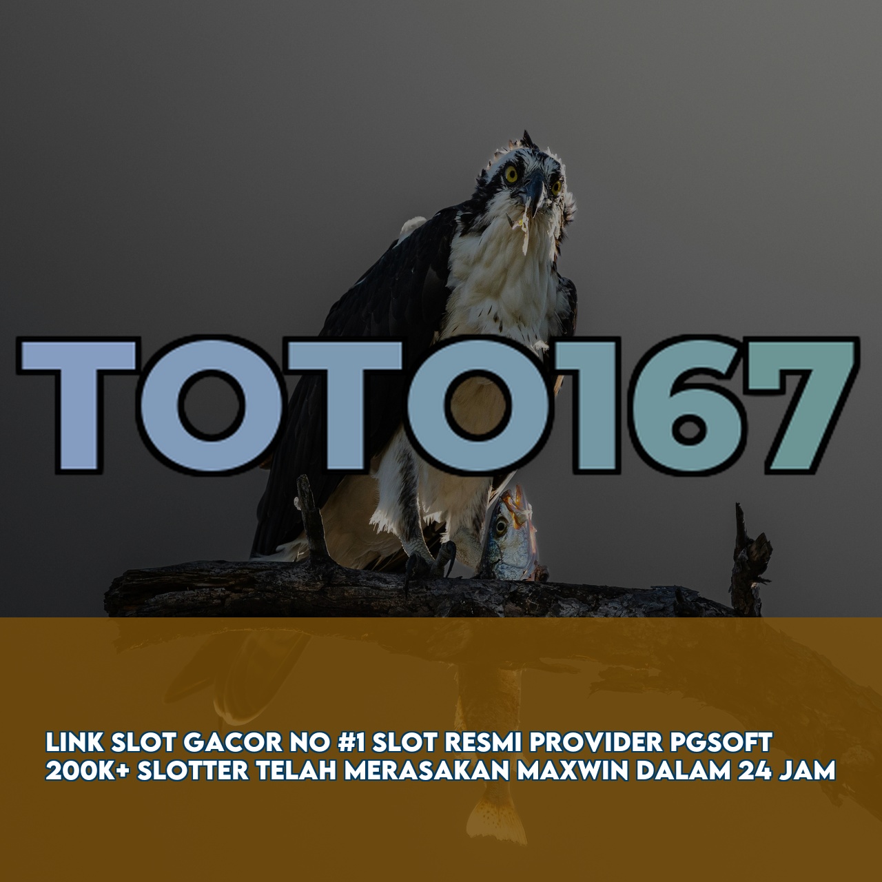 TOTO167 : Premium Online Game Link featuring The Best Online Gaming Experience Secure Transactions