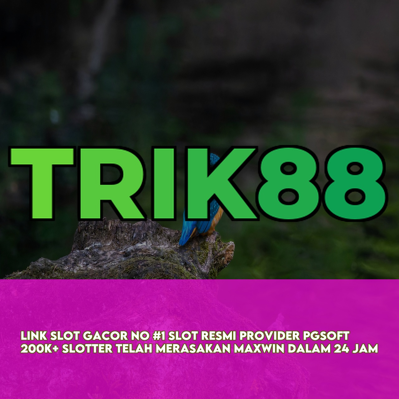 TRIK88 - Official Game Online Site featuring Massive Daily Jackpots Instant Access