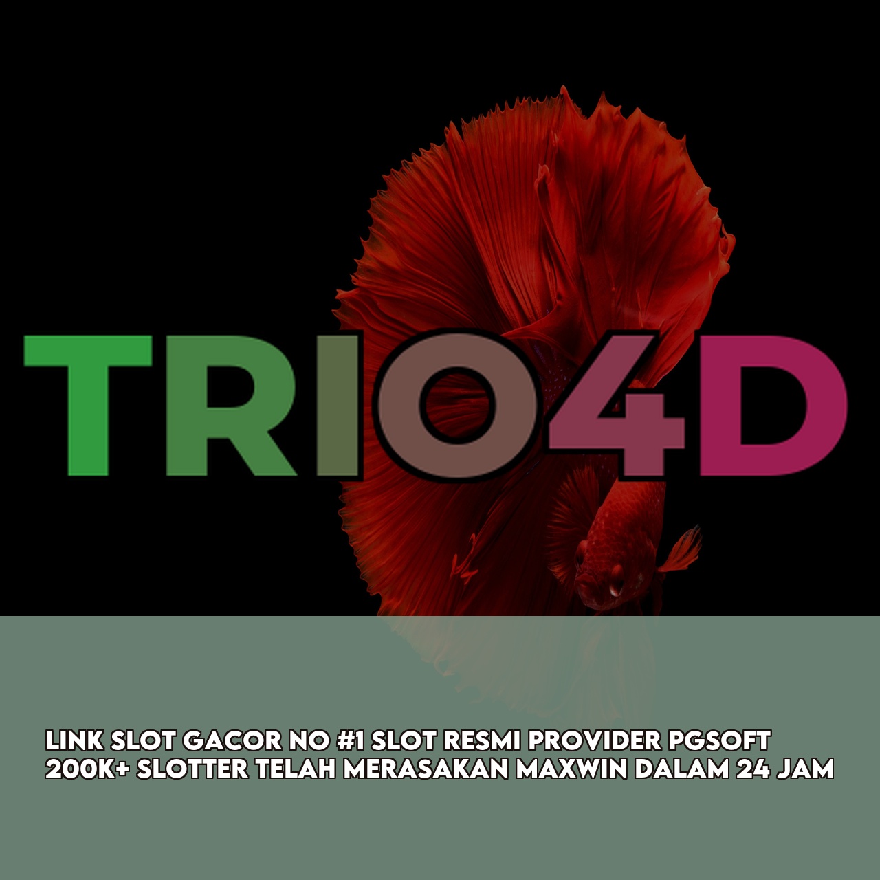 TRIO4D : Top Rated Online Game featuring Massive Daily Jackpots & 24/7 Support