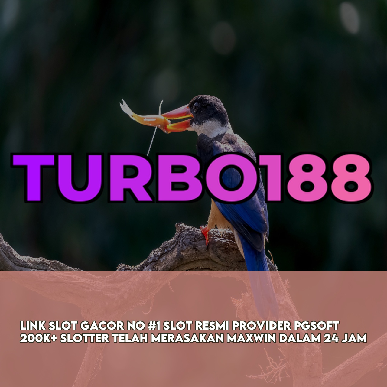 TURBO188 : Official Game Online Site featuring The Best Online Gaming Experience & 24/7 Support