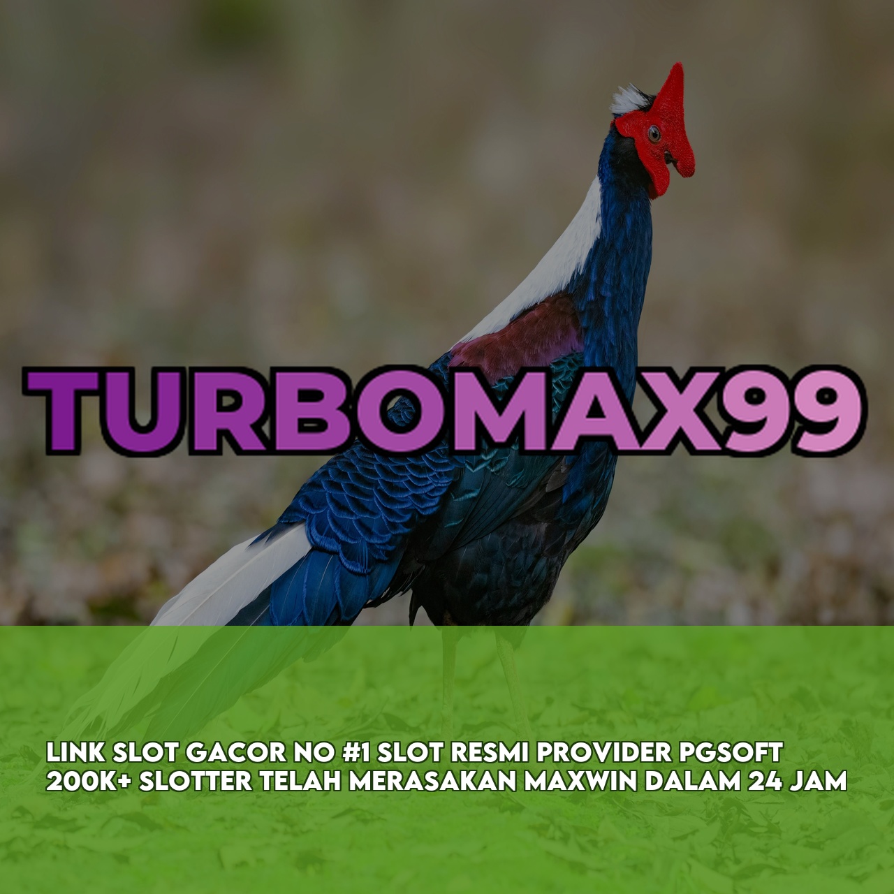 TURBOMAX99 : Top Rated Online Game featuring Massive Daily Jackpots Responsive CS